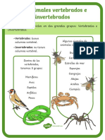 Hoja Informativa - Los Animales Vertebrados e Invertebrados PDF