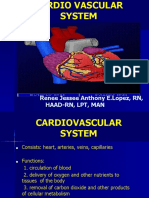 Cardio NSG Review 2020 PDF