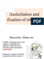 Chapter 4(a) Plants n nitrogen