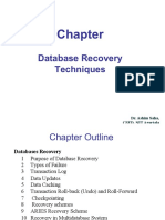 Database Recovery Techniques