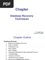 Database Recovery Techniques