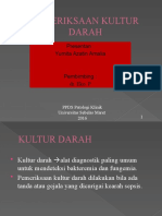 Kultur Darah