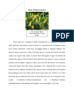 Review of Cassia alata's Medicinal Uses and Toxicity