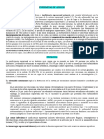 Enfermedad de Addison: causas, síntomas y tratamiento de la insuficiencia suprarrenal primaria