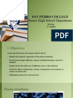 San Pedro College: Senior High School Department