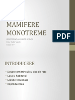 Proiect Biologie 22