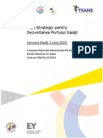 Plan Strategic PSDPG - Final