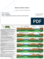 16 - Relaciones entre MM y ambientes tectónicos