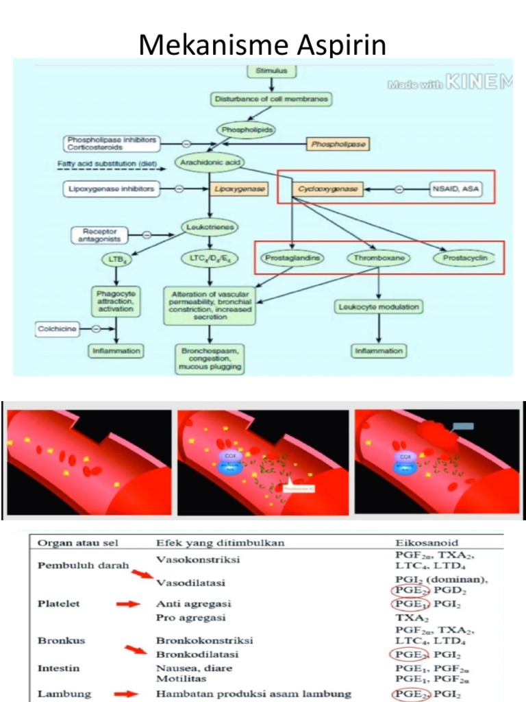 Mekanisme Aspirin PDF