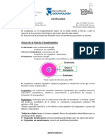 CITOPLASMA - ORGÁNULOS.pdf