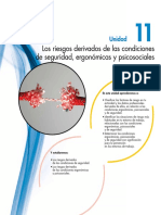 Riesgos derivados de las condiciones de seguridad, ergonómicas y psicosociales.pdf