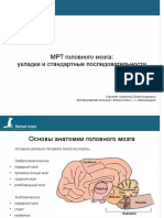 МРТ головного мозга собак (укладки и режимы)