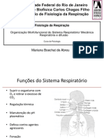 RESPIRATORIO 01 - Morfo-Mec-Difusão