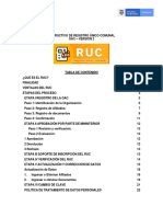 Instructivo RUC