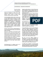 01 Interpretarea chestionarelor.pdf