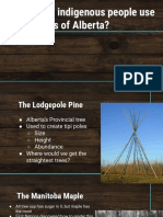 Indigenous Tree Use