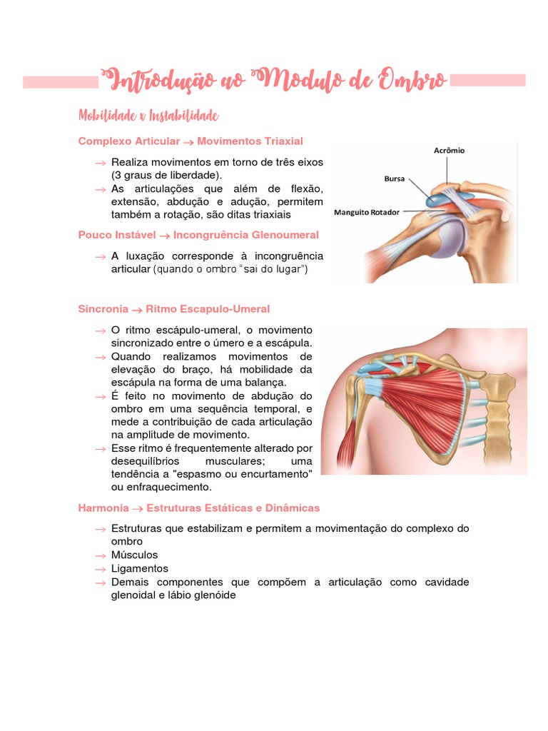 Introdução Ao Modulo de Ombro | PDF | Articulações | Anatomia humana, image size:768x1024