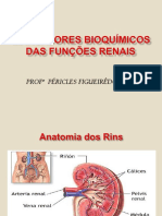 Função Renal