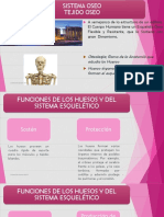 Sistema Oseo PDF