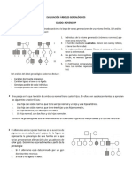 Evaluación Árboles Genealógicos PDF