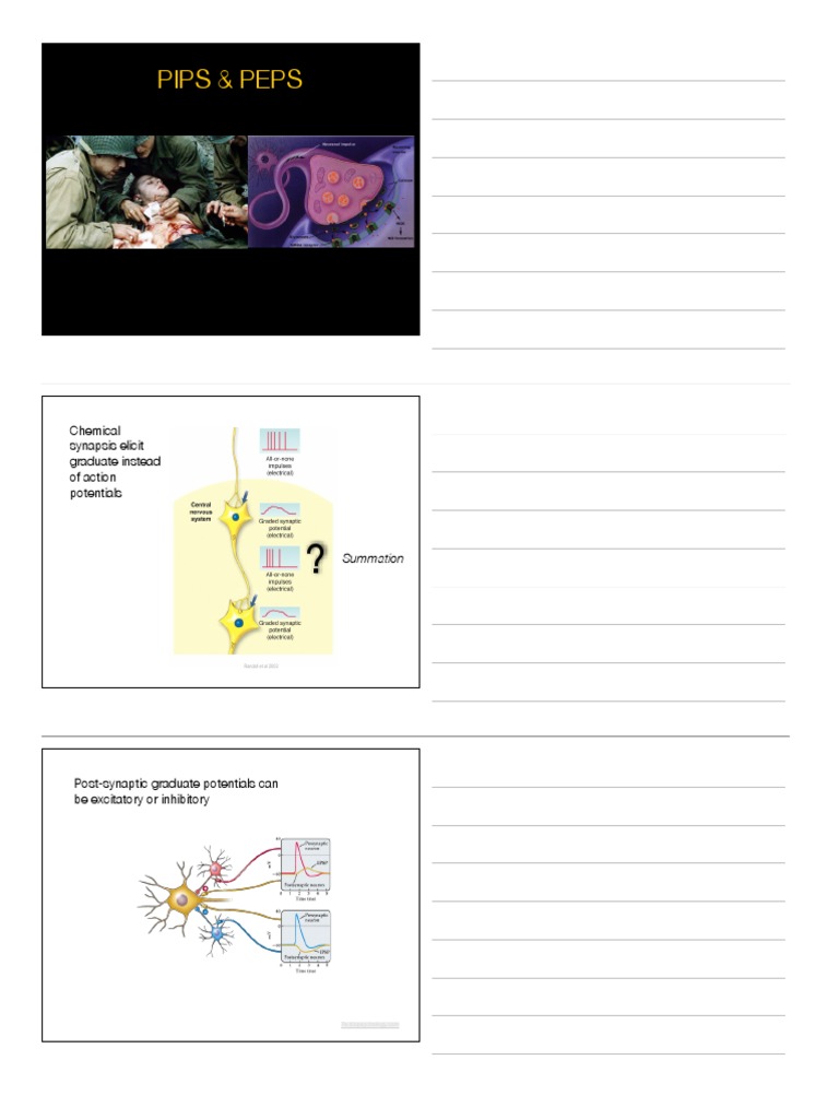 Graded Potentials: PEPS & PIPS Explained | PDF