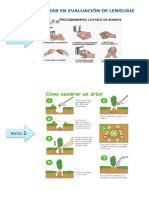 Texos Evaluación Lenguaje - Noviembre