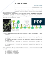 Ficha_de_DNA_e_sintese_proteica.docx