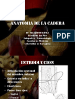 Anatomía de la cadera: componentes óseos y articulares