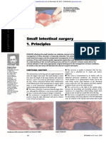 Small intestinal surgery principles