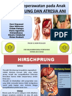 Asuhan Keperawatan pada Anak dengan Hirschprung dan Atresia Ani