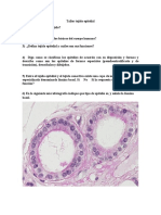 Taller de Histología.