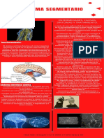 Sistema Segmentario PDF