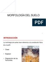 Clase 4. Morfologia Del Suelo, H. Genèticos