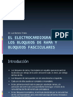 6-Bloqueos de Rama PDF