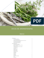 ebook-dicas-de-aromaterapia-vishwa-aroma-1-edi.pdf