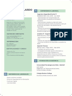 Verde y Gris Analista de Sistemas Tecnología Currículum PDF