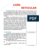 Formación Reticular