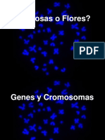  GENES y CROMOSOMAS