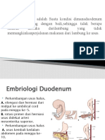 Atresia Duodenum