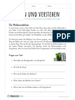 arbeitsblatt-lesen-und-verstehen-wolkenmaedchen.pdf