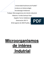 Microorganismos de Interés Industrial