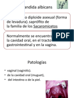 Candida Albicans (Autoguardado)