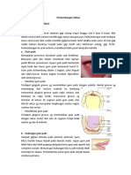 Uts Stoma 8