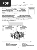 Cell Membrane & Tonicity Worksheet