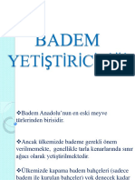 Badem Yeti̇şti̇ri̇ci̇li̇ği̇1 PDF