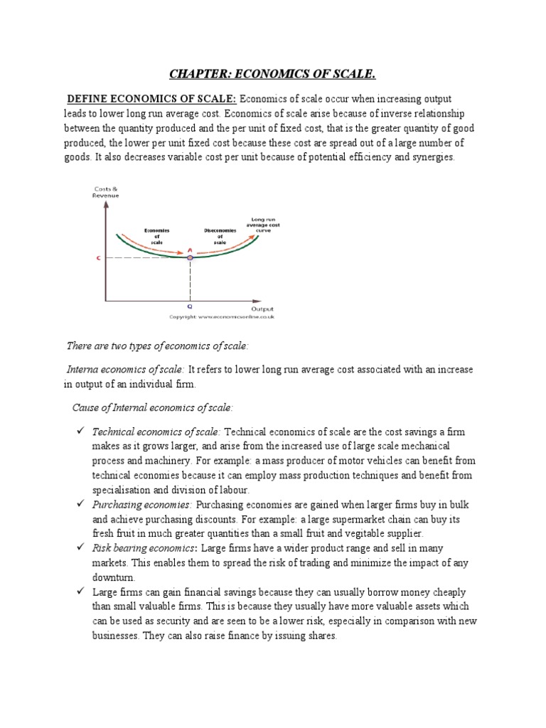 Understanding Economies of Scale | PDF | Economies Of Scale | Average Cost
