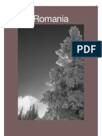 PWC Romania