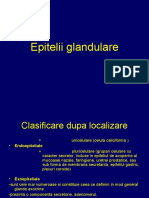 Prezentare Epitelii Glandulare