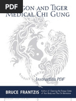 Download Dragon-and-Tiger-Free-PDF by Gabriel Latendresse SN48691937 doc pdf