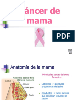 2- CANCER DE MAMA 2012
